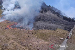 KLHK Akan Merehabilitasi Ekosistem yang Rusak Akibat Kebakaran di Gunung Bromo