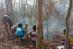 Tanah SG Seluas 2 Hektare di Pundong Terbakar