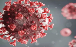 Obat Antivirus Covid Bikin Virus Bermutasi, Pakar Minta Publik tetap Tenang