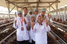 Sleman Kini Punya Kawasan Pertanian Sehat Komoditas Telur Ayam Ras