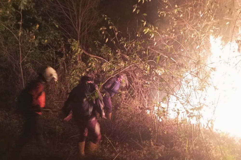 Lereng Gunung Merbabu Kebakaran, Pemadaman Dilakukan dengan Alat Seadanya