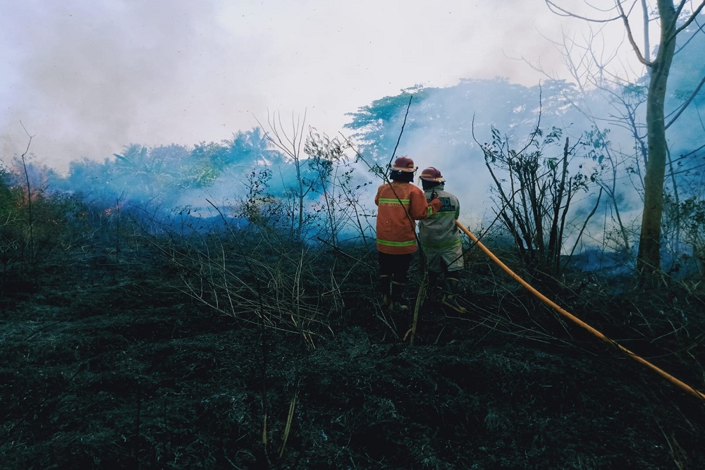Lahan Kosong di Sedayu Terbakar Akibat Aktivitas Pembakaran Sampah