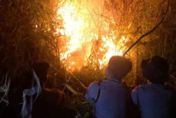 Terbakar 24 Jam, 10 Hektare Hutan Lereng Gunung Lawu Hangus