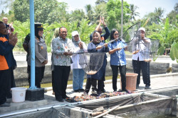 Inovasi Silamanda dan Biola Delman untuk Tingkatkan Kualitas Perikanan Sleman
