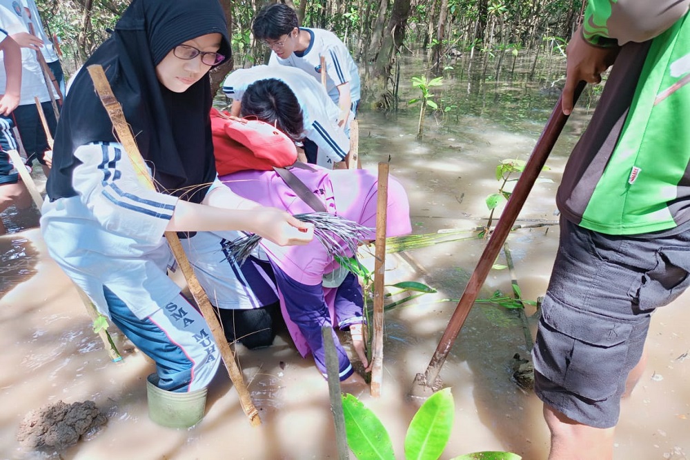 Pelajar SMA Muha Gelar Aksi Tanam Bakau di Hutan Mangrove Baros