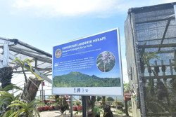 Kopi Arabika hingga Anggrek Langka Kini Berkembang di Lereng Merapi