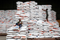 Pemerintah Mau Impor Beras Lagi 1,5 Juta Ton di 2023, Ini Alsannya