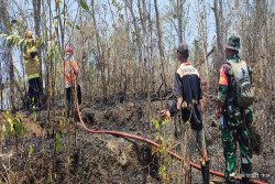 3 Hektar Lahan di Bukit Menoreh Terbakar dan Nyaris Mengenai Permukiman Warga