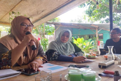 PKBI dan Walhi Jogja Soroti Panas Ekstrem di DIY, Perempuan Dinilai Paling Terdampak
