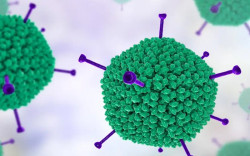 Waspadai Infeksi Adenovirus, Penyebab Terjadinya Demam hingga Diare