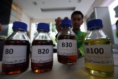 Ups, Impor BBM Tembus 138 Juta Barel, Pengembangan Biofuel Mendesak