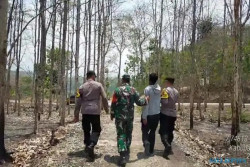 Pemuda Penyebab Kebakaran Hutan Bayat Klaten Ditangkap, Sempat Melarikan Diri dan Kejar-kejaran