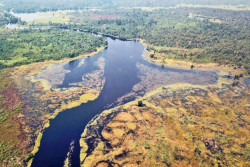 Ilmuwan Temukan Sungai Paling Gelap di Dunia