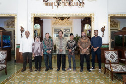Pemda DIY Lakukan Perlindungan Habitat Monyet Ekor Panjang di Gunungkidul