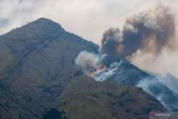Pengumuman! Jalur Pendakian Gunung Merbabu Ditutup Akibat Karhutla