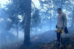 Kebakaran Gunung Merbabu: Pemadaman Akan Gunakan Water Boombing