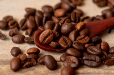 Lahan Perkebunan Kopi Terbatas, DIY Masih Berpotensi Jadi Coffee Hub
