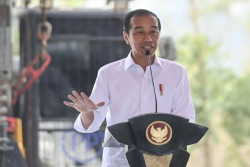 Presiden Jokowi Ajak Pengusaha Ikut Bangun IKN