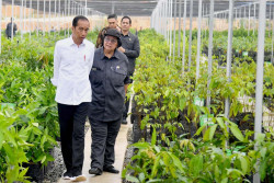 Di Depan 100 CEO, Jokowi: IKN City Akan Dijadikan Semacam Forest City