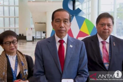 Jokowi Meyakini Investor dari Luar Negeri Segera Masuk ke IKN