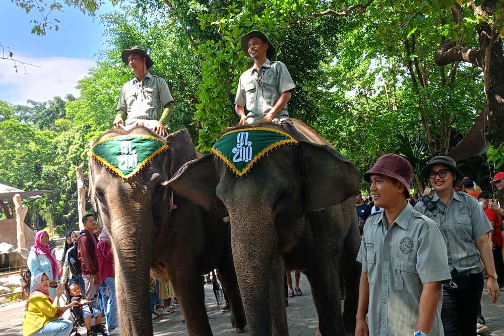 Seru! Belasan Hewan Koleksi GL Zoo Diarak Berkeliling dan Sapa Pengunjung