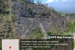 Hutan Lereng Merapi di Wilayah Cepogo Terbakar