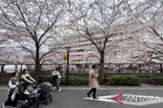 Warning! 2024 Turis Indonesia ke Jepang Wajib Tes TBC