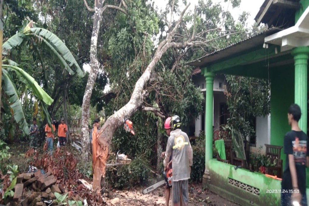 Hujan Angin Pohon Bertumbangan di Sleman, Satu Menimpa Rumah