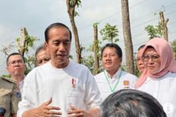 Jokowi Jawab Kririk Megawati yang Menyebut Penguasa Saat Ini Seperti Orde Baru