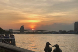 Wisata Bangkok, Menikmati Senja di Sungai Chao Phraya