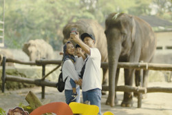 Segini Harga Tiket Gembira Loka Zoo Jogja Selama Libur Nataru 2023