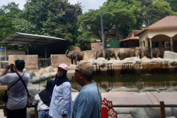 Puncak Libur Natal, Kunjungan ke GL Zoo Tembus 11.000 Orang dalam Sehari