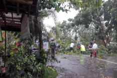 Sleman Diterjang Hujan Angin 3 Hari, Nilai Kerusakan Ditaksir Capai Ratusan Juta Rupiah