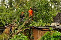 Badai Tropis Anggrek, BPBD Gunungkidul: Ada 27 Kejadian Kerusakan