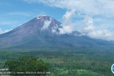 Gunung Semeru Mengalami 19 Kali Gempa dan Letusan