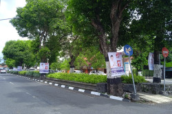 Ada APK Dipaku di Pohon, Forpi Kota Jogja : Jelas Melanggar Aturan