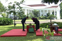 Lambang Perdamaian, Jokowi Ajak Presiden Tanzania Tanam Pohon di Istana Bogor