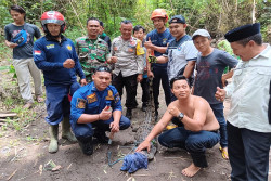 Bikin Geger! Buaya Sepanjang 2 Meter Ditangkap di Sungai Tepus, Kalasan Sleman
