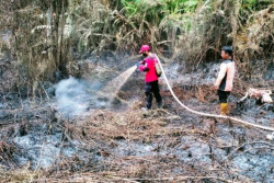 Hujan Masih Belum Merata, BMKG Deteksi 34 Titik Panas di Balikpapan