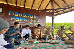 Tak Berhenti, PLN Lanjut Perkokoh Pantai Utara Jateng dengan Mangrove Hingga 100 Hektare