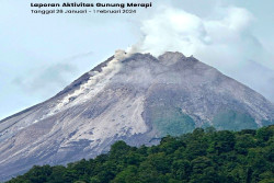 Awan Panas dan Ratusan Guguran Lava Ubah Morfologi Kubah Barat Daya Gunung Merapi