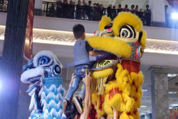 Semarakkan Imlek, SCH dan FOBI DIY Gelar SCH Dragon Festival
