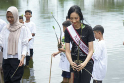 Cegah Perubahan Iklim, Puteri Indonesia 2024 DIY Tanam Mangrove dan Lepaskan Tukik