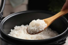 Pemerintah Pastikan Program Bagi-Bagi Rice Cooker Gratis Tak Dilanjutkan Lagi Tahun Ini