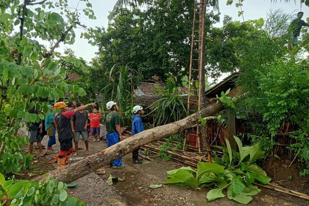 Hujan Lebat Disertai Angin Kencang Landa Sleman, Atap Rumah Warga Beterbangan, Puluhan Pohon Tumbang