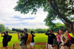 Burung Air Ini Terancam Punah karena Pencemaran Air dan Urbanisasi