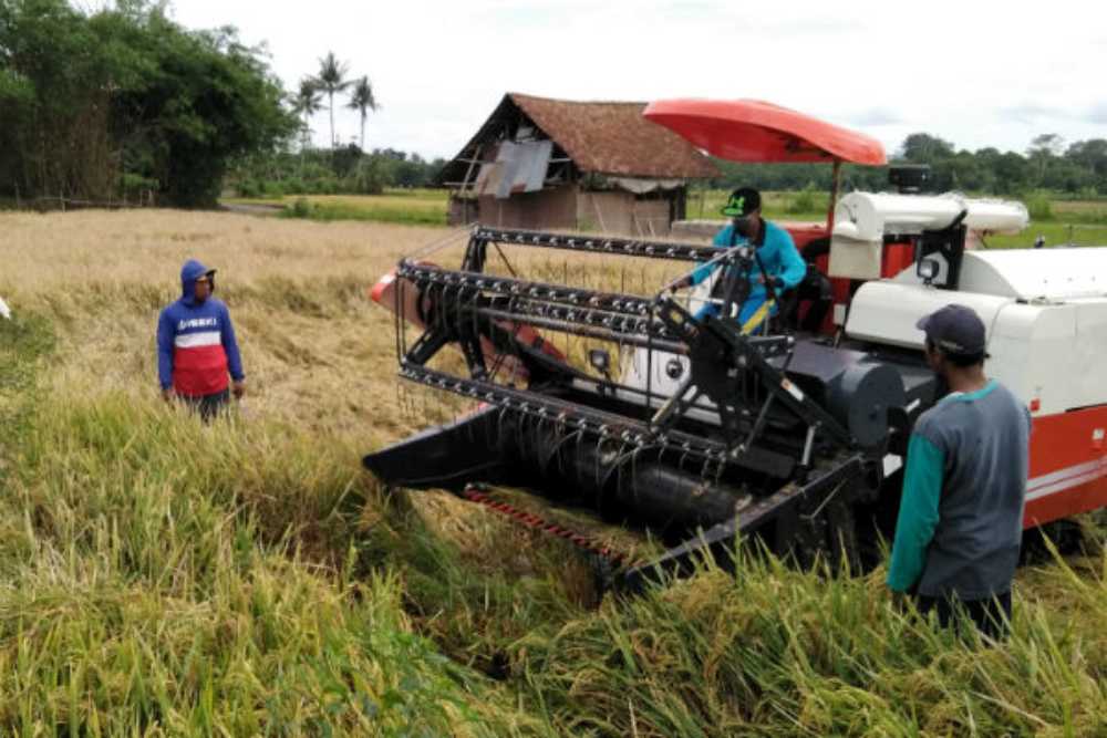 Upayakan Modernisasi Alat Pertanian, Bantul Masih Minim Mesin Combine Harvester