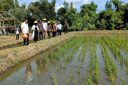Dinas Pariwisata Sleman Tidak Ngoyo Bikin Desa Wisata di Setiap Kalurahan