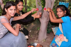 Unik, Desa Ini Menggagas Tradisi Menanam 111 Pohon Setiap Kelahiran Anak Perempuan