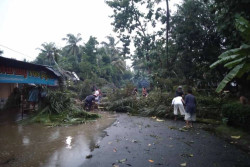 Tak Cuma Puluhan Pohon Tumbang, Hujan Angin Kamis Malam Sebabkan Tanah Longsor